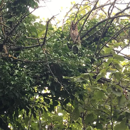 Baglyos Сasa de vacaciones *