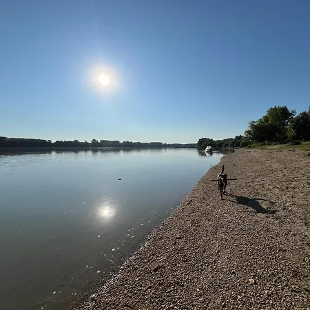 Сasa de vacaciones Baglyos Kulcs