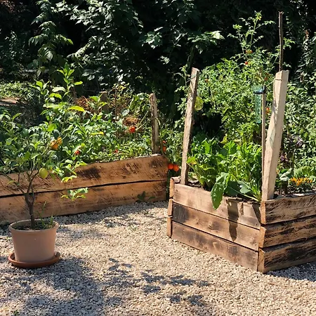 Сasa de vacaciones Baglyos